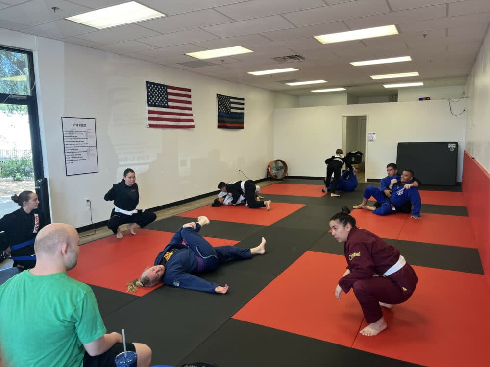 Fuerza Brazilian Jiu Jitsu Programs image